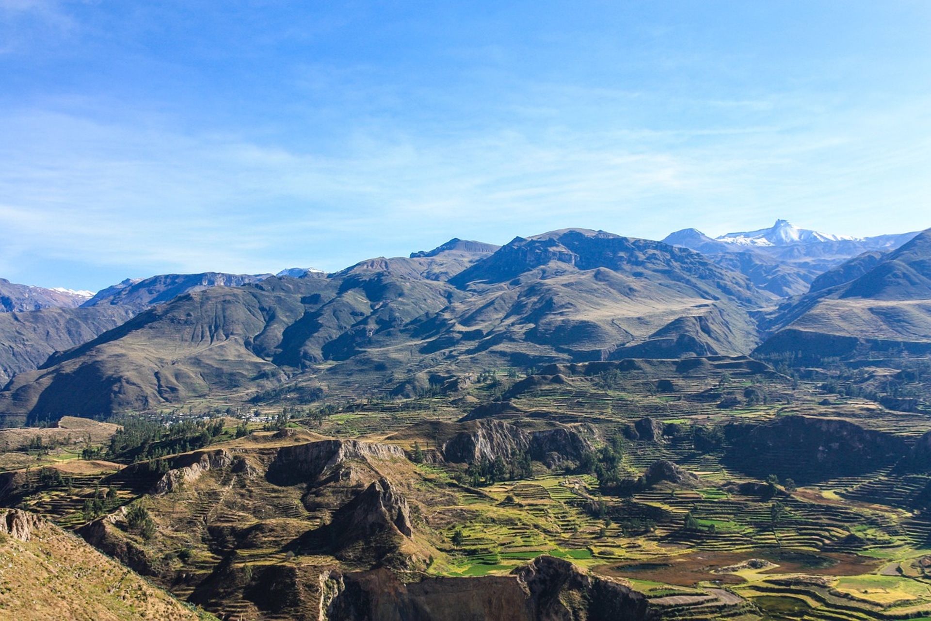 Arequipa: cañon del colca todo el dia